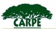 CARPE Logo
